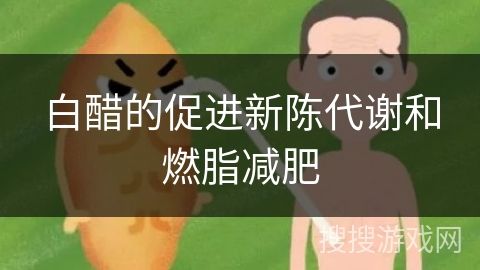 白醋的促進(jìn)新陳代謝和燃脂減肥