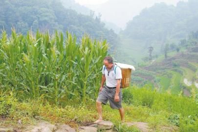 “挑夫”校長代天久背著孩子們的營養(yǎng)餐，走在崎嶇的山路上。