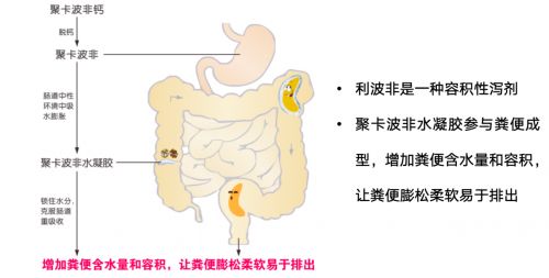 一文科普便秘怎么调理，详述慢性便秘怎么调理