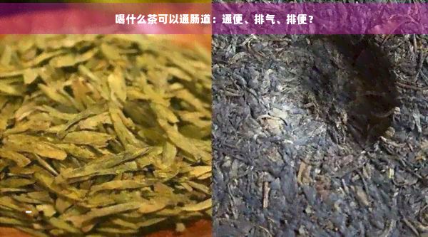 喝什么茶可以通肠道：通便、排气、排便？