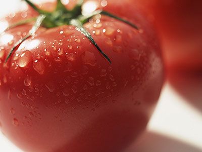 食物養(yǎng)生：西紅柿晚餐減肥食譜三天減6斤
