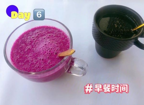 果蔬汁斷食：排毒減肥的健康法(2)