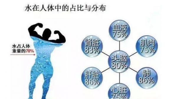 礦泉水代理批發(fā)