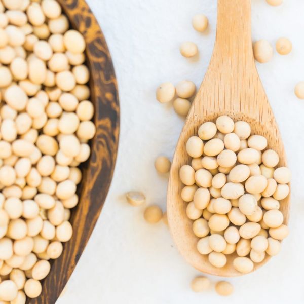 directly above shot of soybeans in heart shape bowl over white background