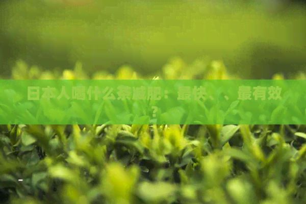 人喝什么茶减肥：最快、、最有效？