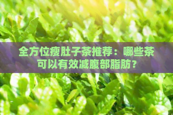全方位瘦肚子茶推薦：哪些茶可以有效減腹部脂肪？