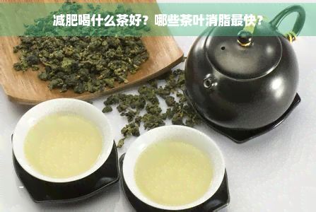 减肥喝什么茶好?哪些茶叶消脂最快?