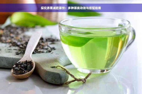 探究養(yǎng)胃減肥茶飲：多種茶類功效與搭配指南