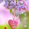 寶貝LBC