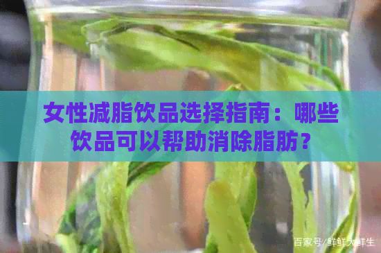 女性減脂飲品選擇指南：哪些飲品可以幫助消除脂肪？