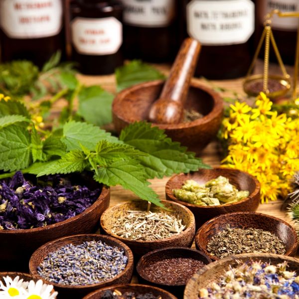 Bulk Herbs for Tea - A Guide to Benefits and Best Blends