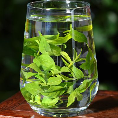 苦丁茶害了我,苦丁茶副作用