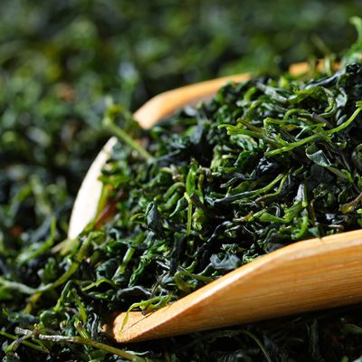 苦丁茶害了我,苦丁茶副作用