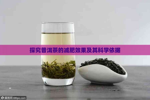 探究普洱茶的减肥效果及其科学依据