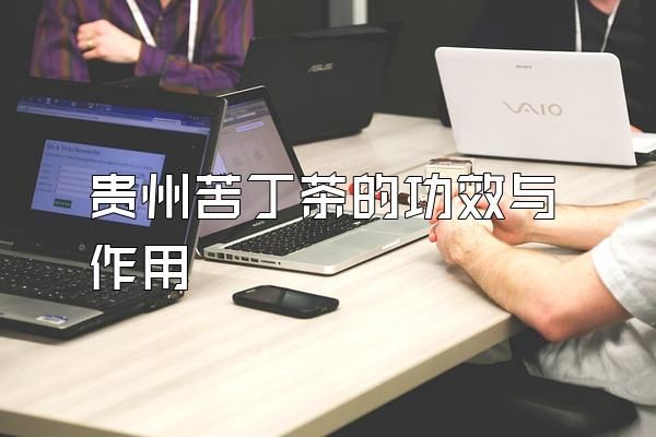貴州苦丁茶的功效與作用