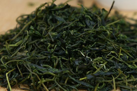 苦丁茶怎樣喝是最健康的，苦丁茶如何飲用比較好