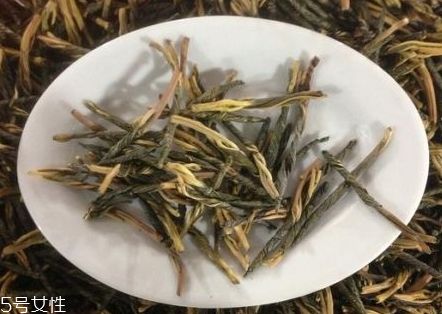 苦丁茶什么时候喝最好 适合喝苦丁茶的季节