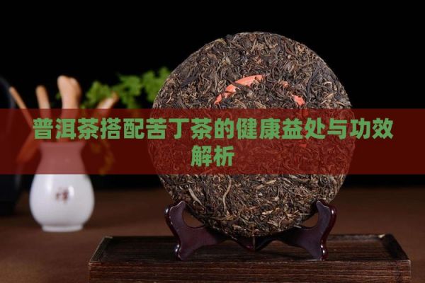普洱茶搭配苦丁茶的健康益處與功效解析