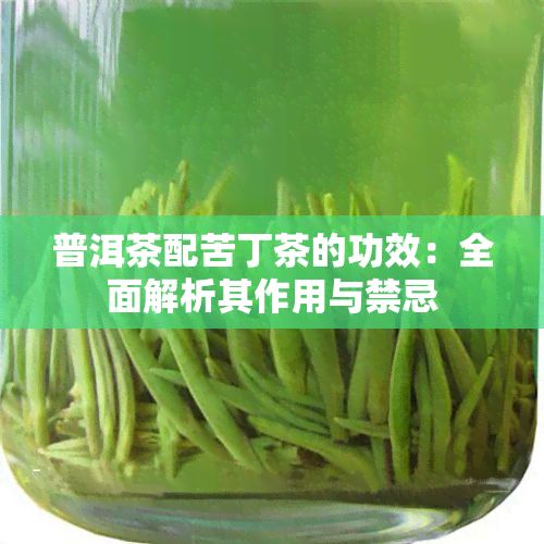 普洱茶配苦丁茶的功效：全面解析其作用与禁忌