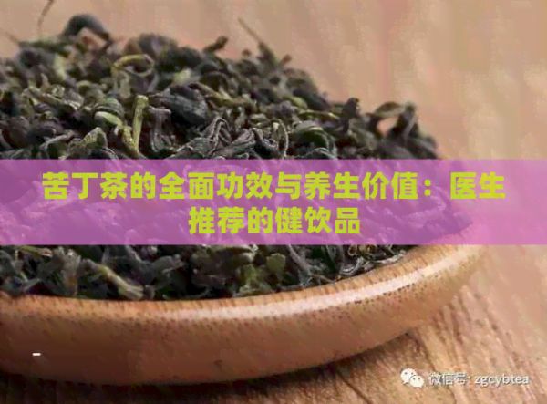 苦丁茶的全面功效与养生价值：医生推荐的健饮品