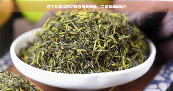 苦丁和普洱茶功效作用及禁忌，二者有異同嗎？