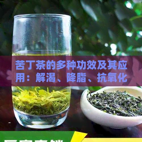 苦丁茶的多种功效及其应用：解渴、降脂、抗氧化等