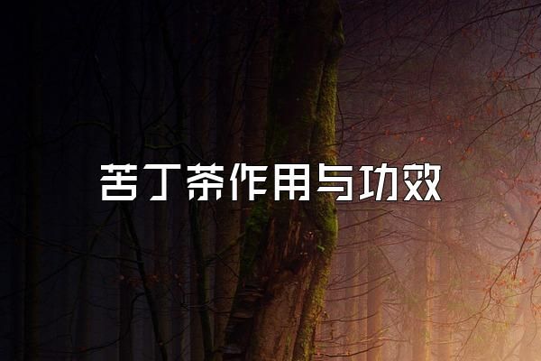 苦丁茶作用与功效