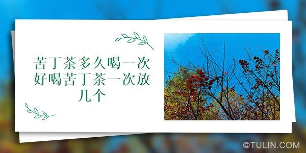 苦丁茶多久喝一次好喝苦丁茶一次放幾個(gè)
