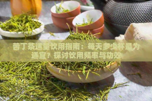 苦丁茶适量饮用指南：每天多少杯最为适宜？探讨饮用频率与功效