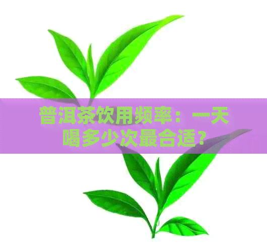 普洱茶饮用频率：一天喝多少次最合适？