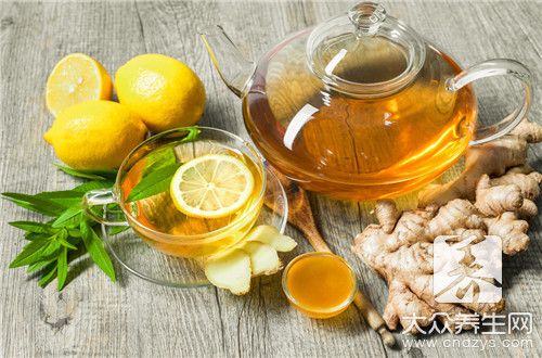 小葉苦丁茶功效作用與食用禁忌