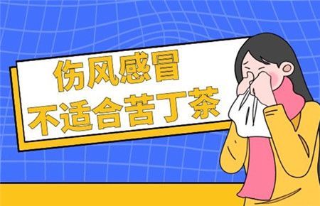 苦丁茶的副作用和危害有那些，苦丁茶不適合什么人喝
