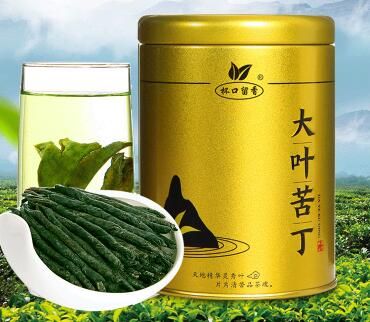 喝苦丁茶會傷腎嗎 哪些人不能喝苦丁茶呢