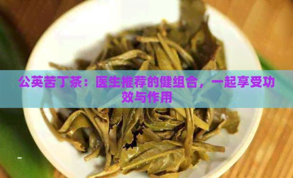 公英苦丁茶：医生推荐的健组合，一起享受功效与作用