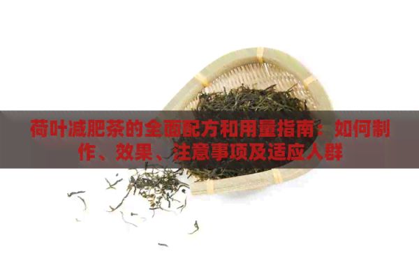 荷叶减肥茶的全面配方和用量指南：如何制作、效果、注意事项及适应人群