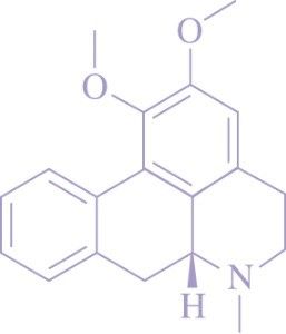 荷叶碱的化学结构