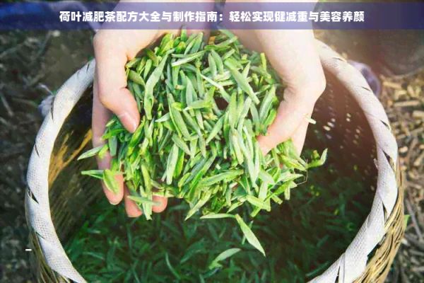 荷叶减肥茶配方大全与制作指南：轻松实现健减重与美容养颜