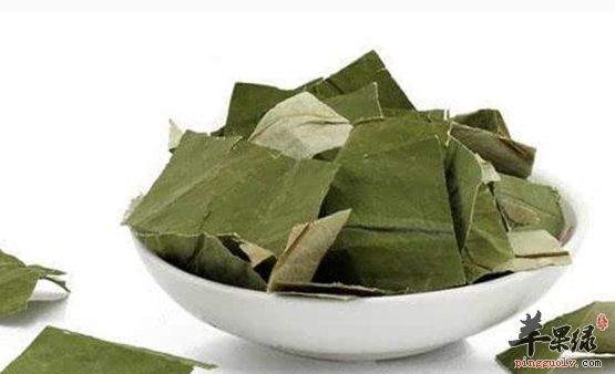 荷葉的三種可以減肥的食譜推薦