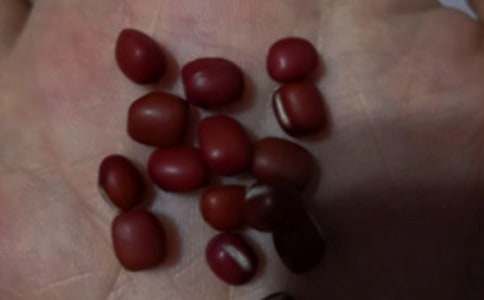 紅豆湯做法