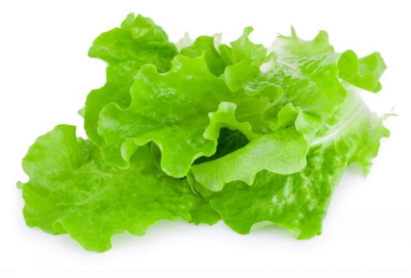 冬天吃什么蔬菜好 冬天那些蔬菜适合冬天吃 那些蔬菜适合冬天吃
