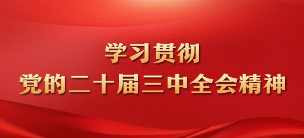 學習貫徹黨的二十屆三中全會精神