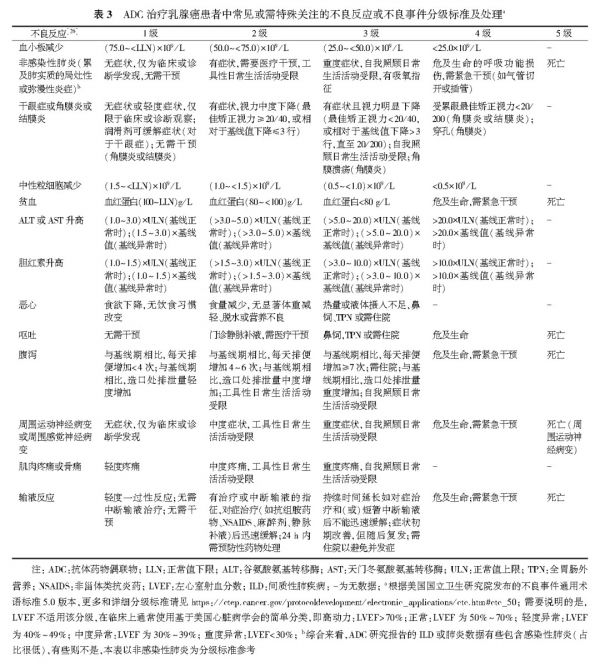 45011663887991974