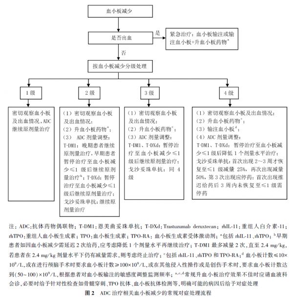 53161663887992929