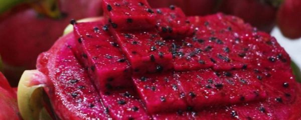 吃火龙果上火吗