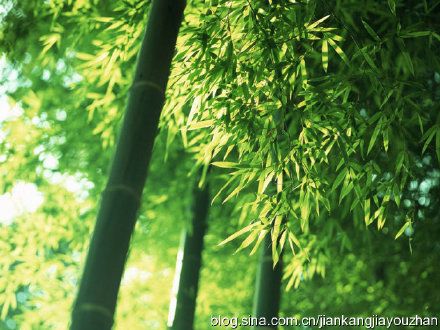 健康生活方式：“不能等”