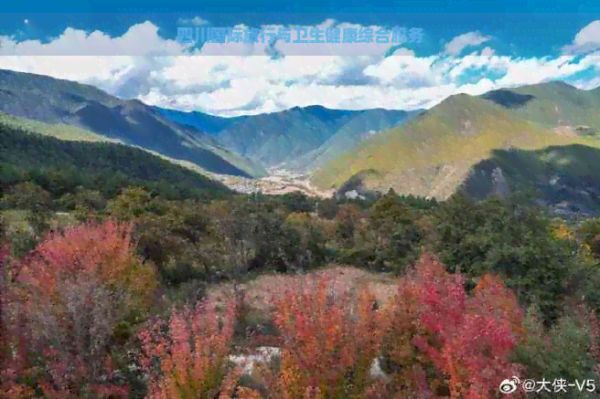 四川国际旅行与卫生健康综合服务
