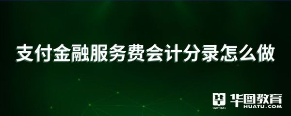 支付金融服务费会计分录怎么做
