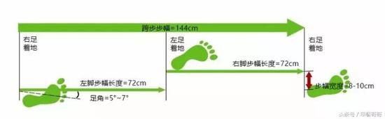步頻和步幅對(duì)跑步效果有何影響？