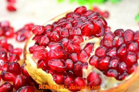 紅石榴的功效與作用及副作用