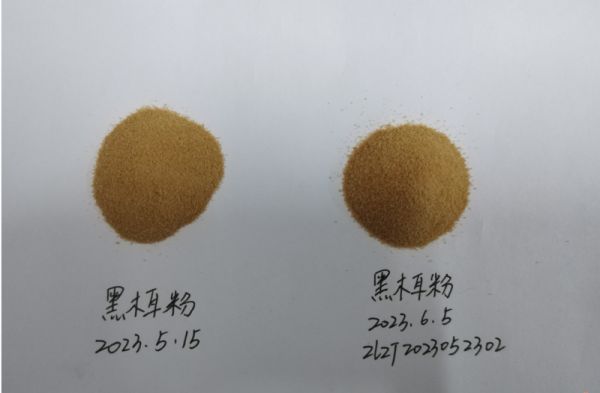 黑木耳提取物